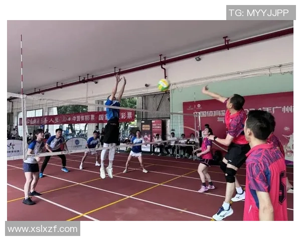 广州排球队在全国排球团队协作排名中创新高展现团结拼搏精神