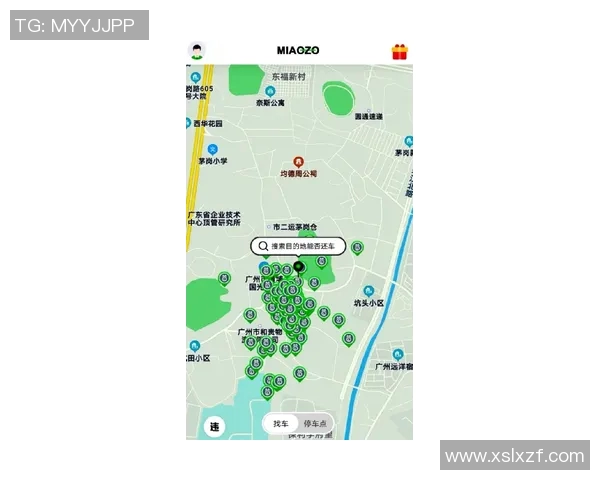 广州乒乓球队引领潮流最新乒乓球技术前十强解析与展望